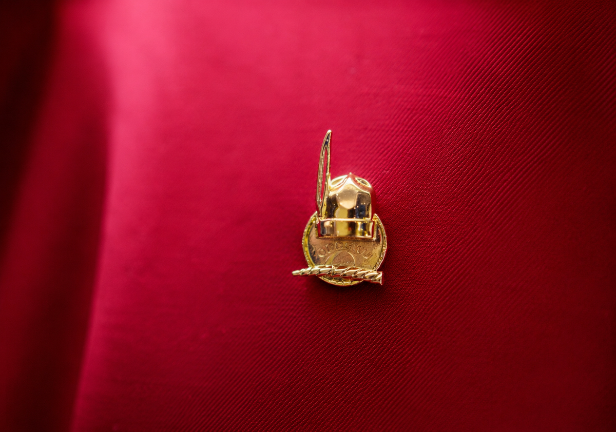 PREMIUM ODOGWU GOLD LAPEL PIN